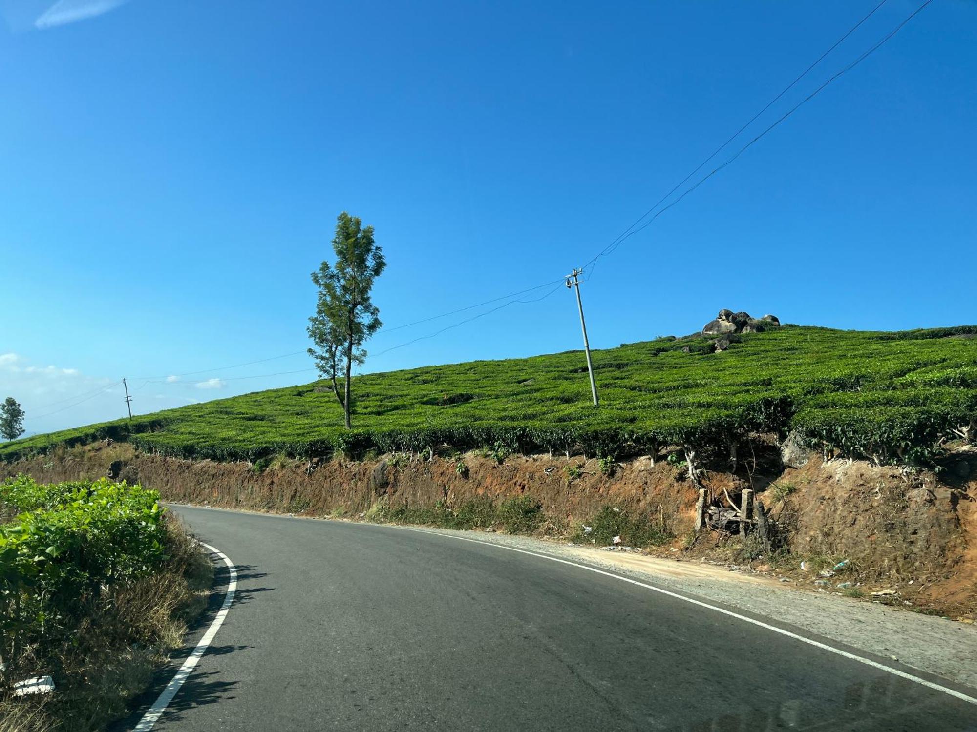 מונאר Maliyeckal Homestay מראה חיצוני תמונה